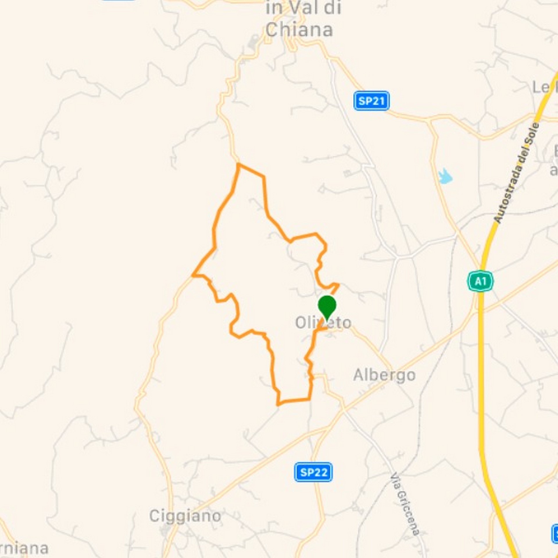 Oliveto – Corbezzoli